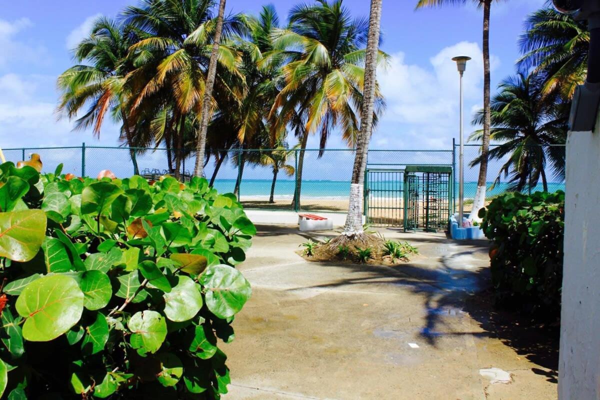 2Br Gem Ocean Front Building Isla Verde Beach 산후안 외부 사진